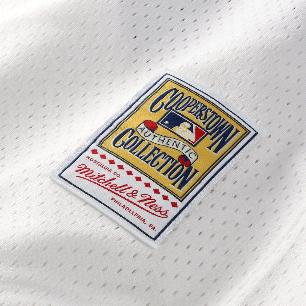 Carlton Fisk Chicago White Sox Authentic Batting Practice Jersey - White