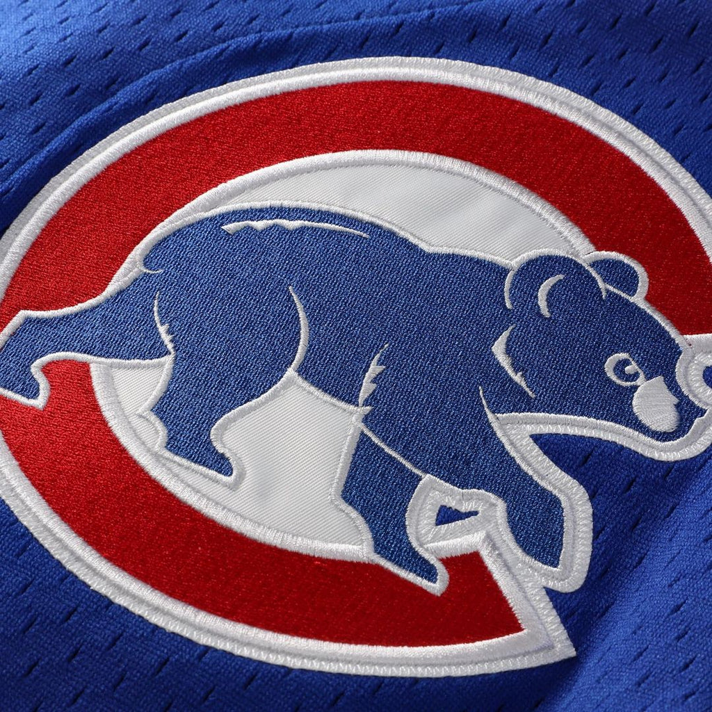 Ryne Sandberg Chicago Cubs Cooperstown Collection 1997 Mesh Batting Practice Button - Up Jersey - Royal