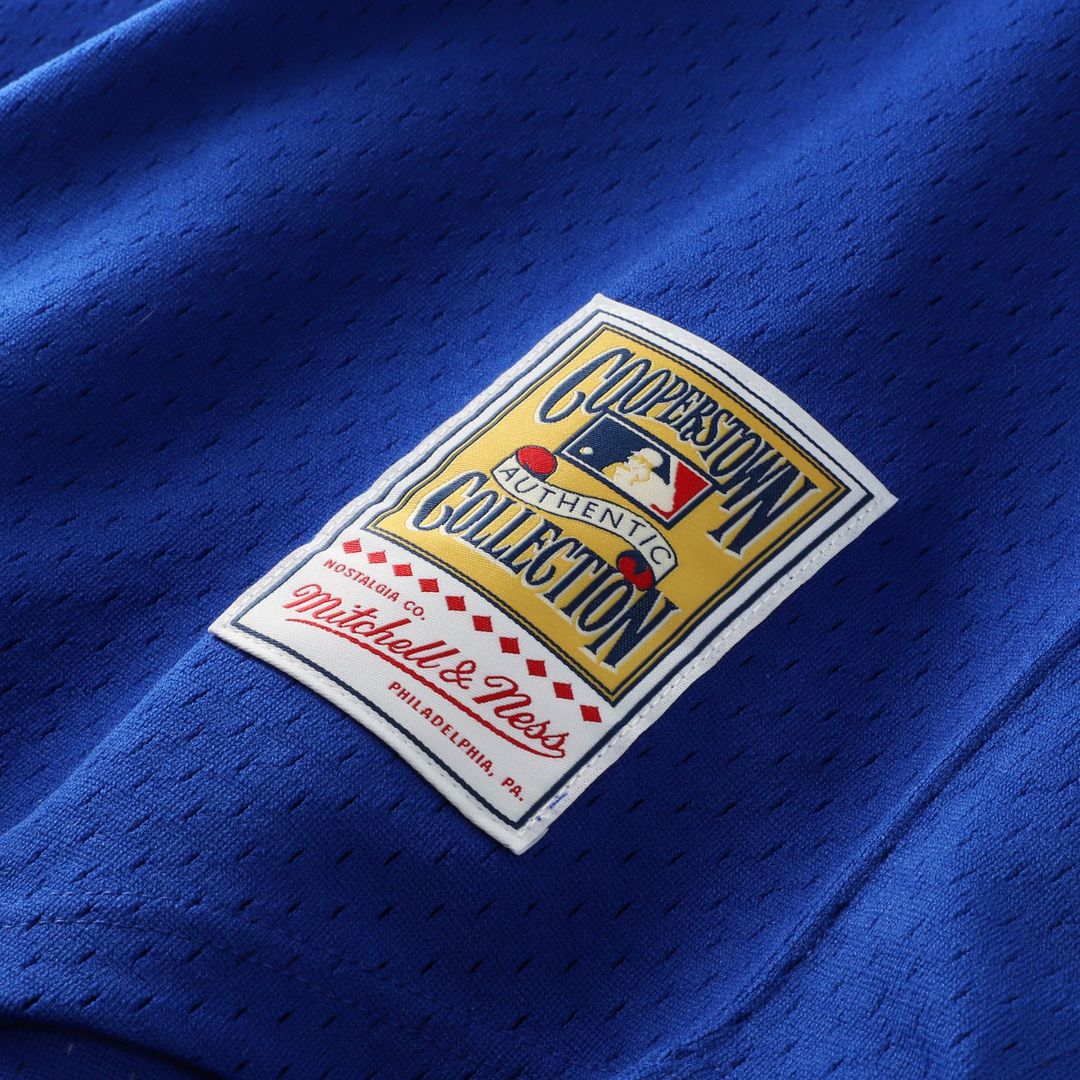 Dale Murphy Atlanta Braves Authentic Batting Practice Jersey - Scarlet
