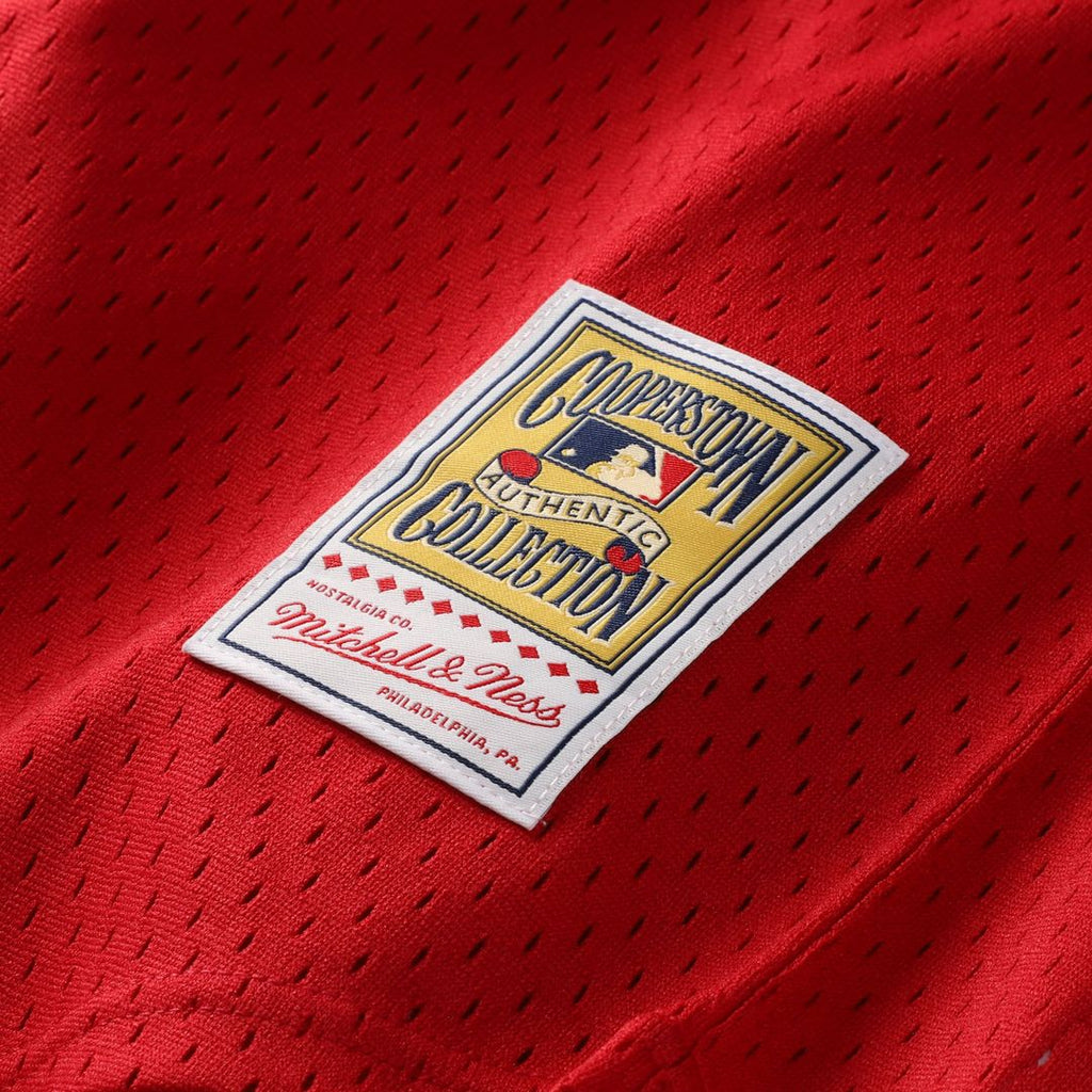 David Ortiz Boston Red Sox Toddler Cooperstown Collection Mesh Batting Practice Jersey - Red