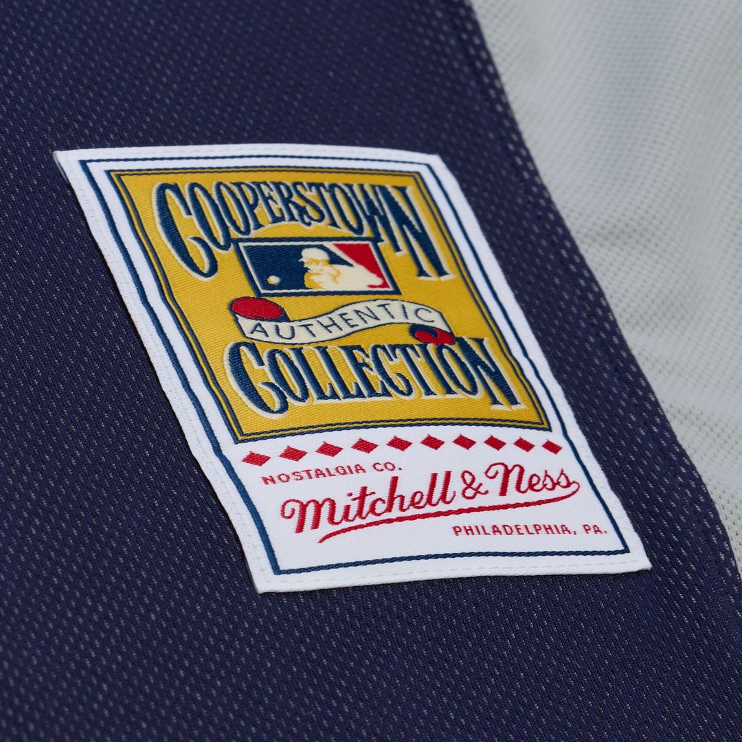 CC Sabathia New York Yankees 2009 Authentic Batting Practice Jersey - Navy