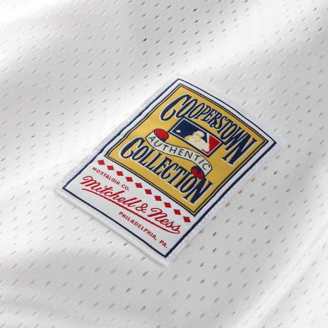 Carlton Fisk Chicago White Sox Authentic Batting Practice Jersey - White