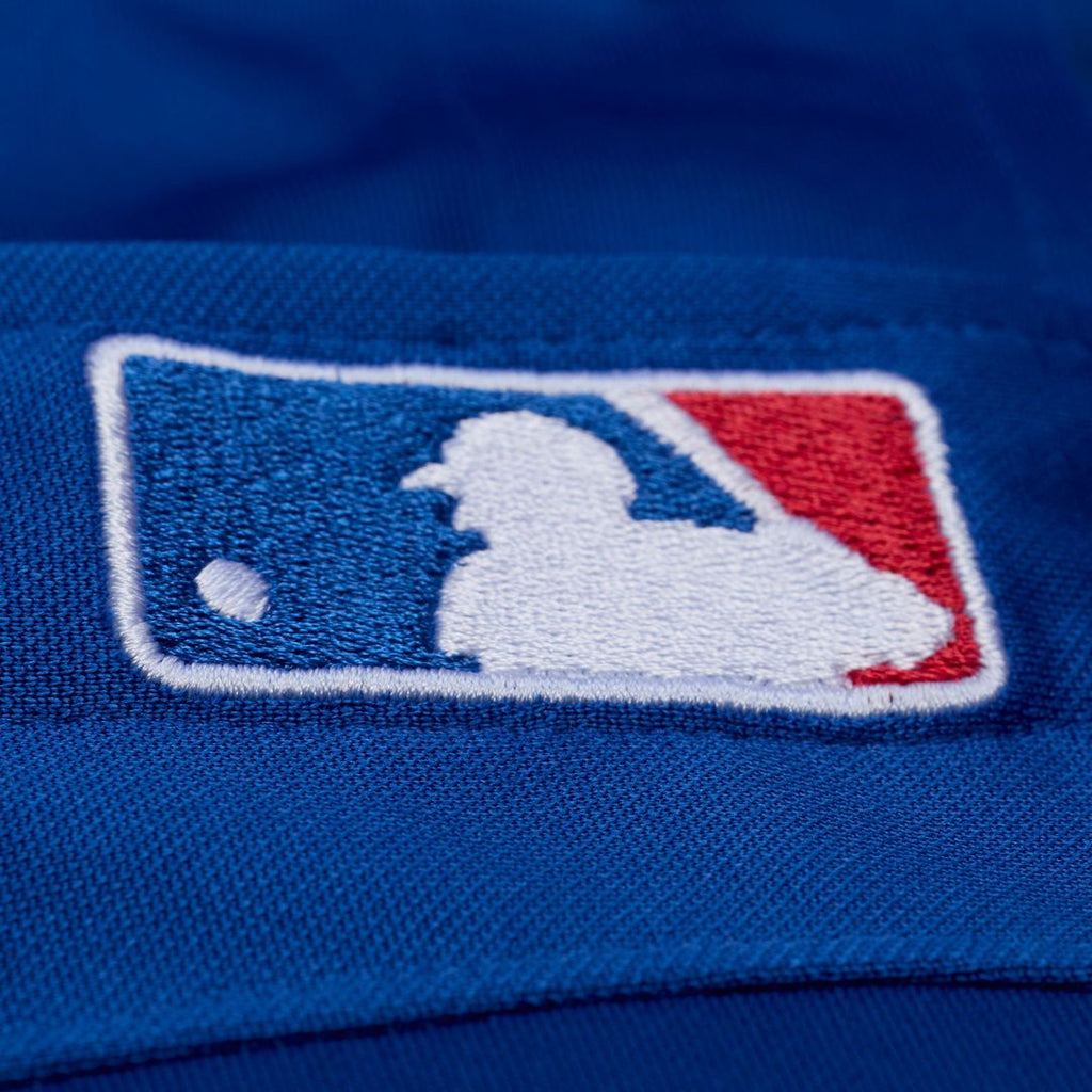 Adrian Beltre Texas Rangers Cooperstown Mesh Batting Practice Button - Up Jersey - Royal