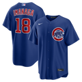 Shota Imanaga Chicago Cubs Alternate Replica Jersey - Royal