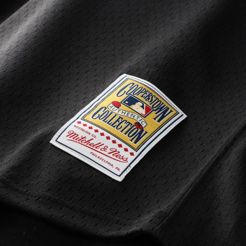 Craig Biggio Houston Astros Authentic Batting Practice Jersey - Black