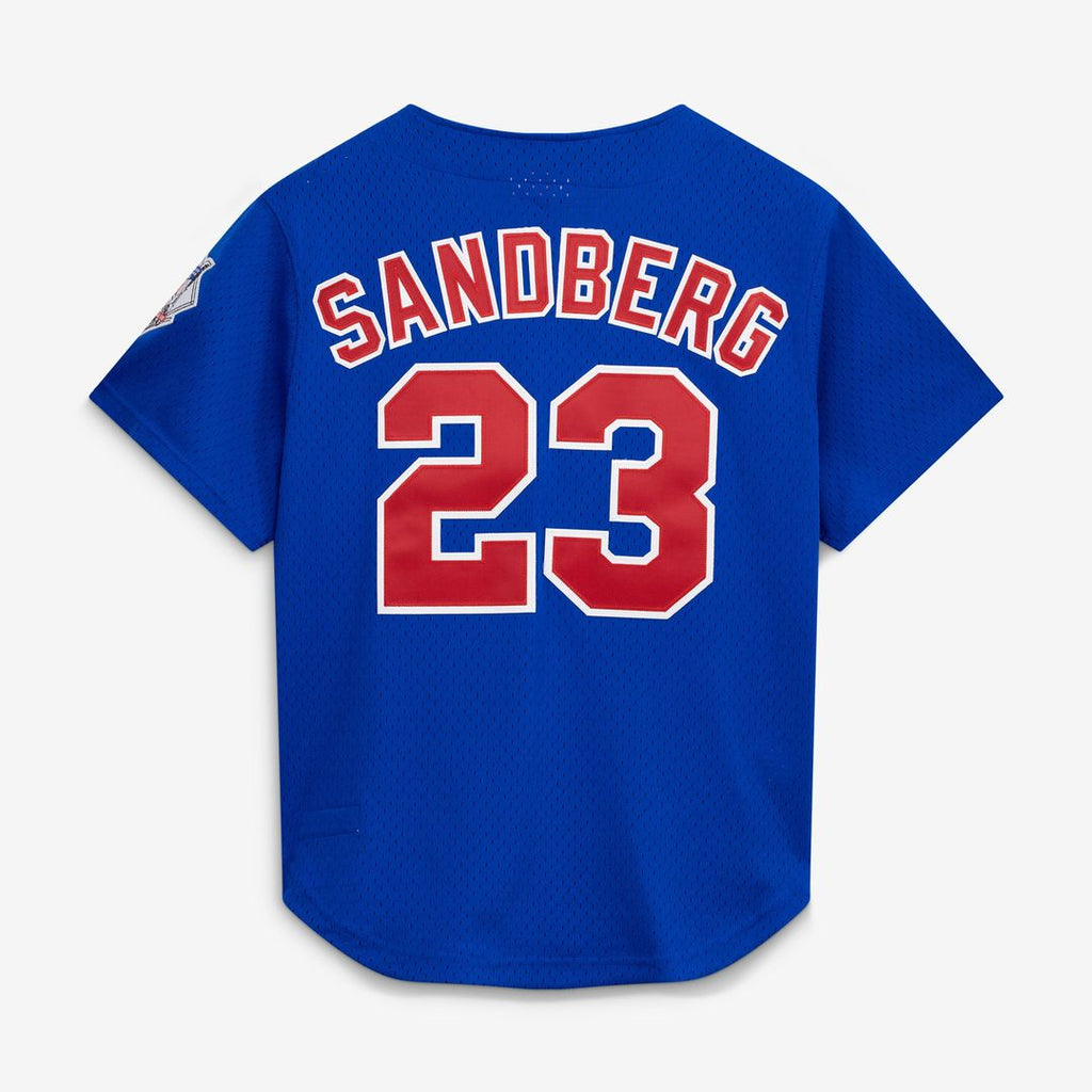 Ryne Sandberg Chicago Cubs Cooperstown Collection 1997 Mesh Batting Practice Button - Up Jersey - Royal