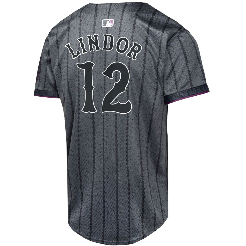 Francisco Lindor New York Mets Youth 2024 City Connect Limited Player Jersey - Graphite