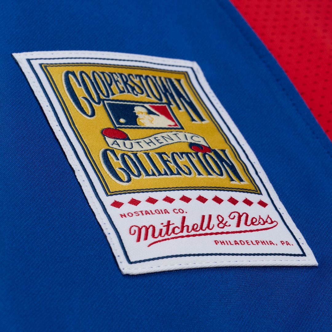 Adrian Beltre Texas Rangers Cooperstown Mesh Batting Practice Button - Up Jersey - Royal