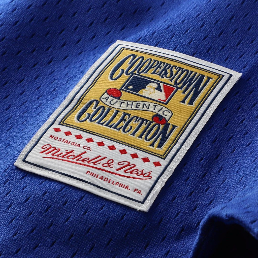 Ryne Sandberg Chicago Cubs Cooperstown Collection 1997 Mesh Batting Practice Button - Up Jersey - Royal
