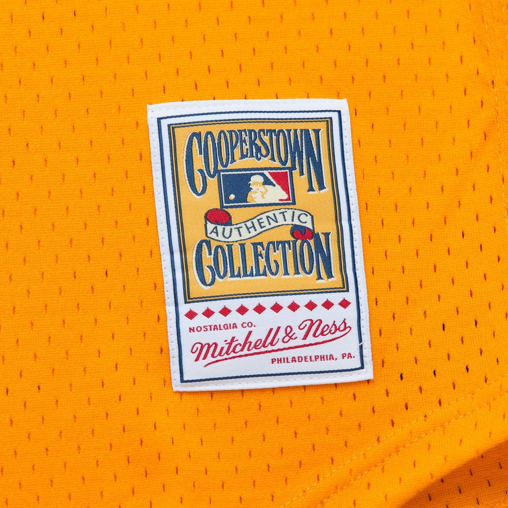 Tony Gwynn San Diego Padres Big & Tall Cooperstown Mesh Batting Practice Jersey - Gold