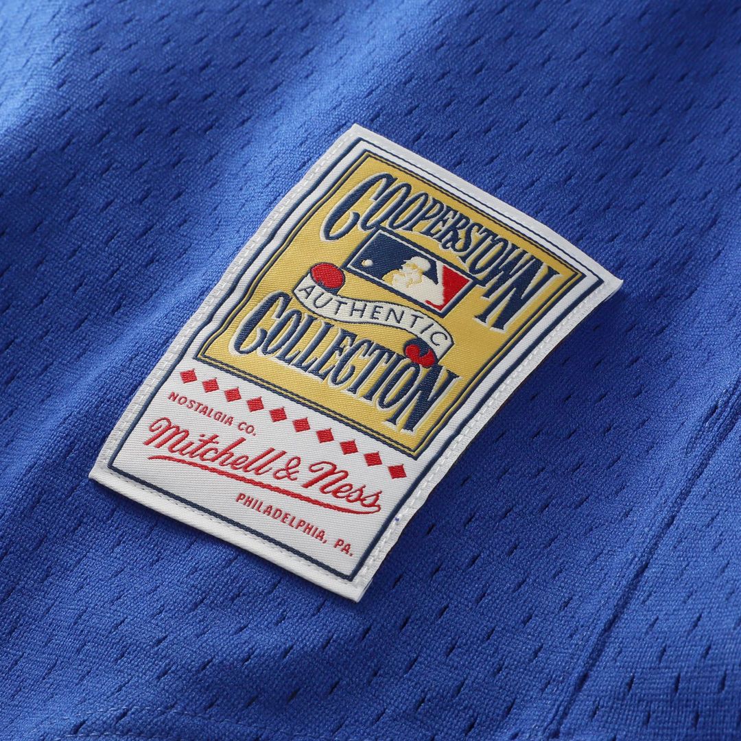 Nolan Ryan Texas Rangers Big & Tall Cooperstown Mesh Batting Practice Jersey - Royal