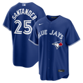 Anthony Santander Toronto Blue Jays Alternate Replica Jersey - Royal