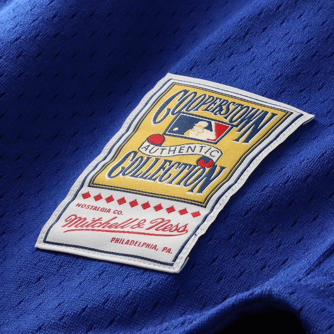 Ryne Sandberg Chicago Cubs Cooperstown Collection 1996 Mesh Batting Practice Button - Up Jersey - Royal
