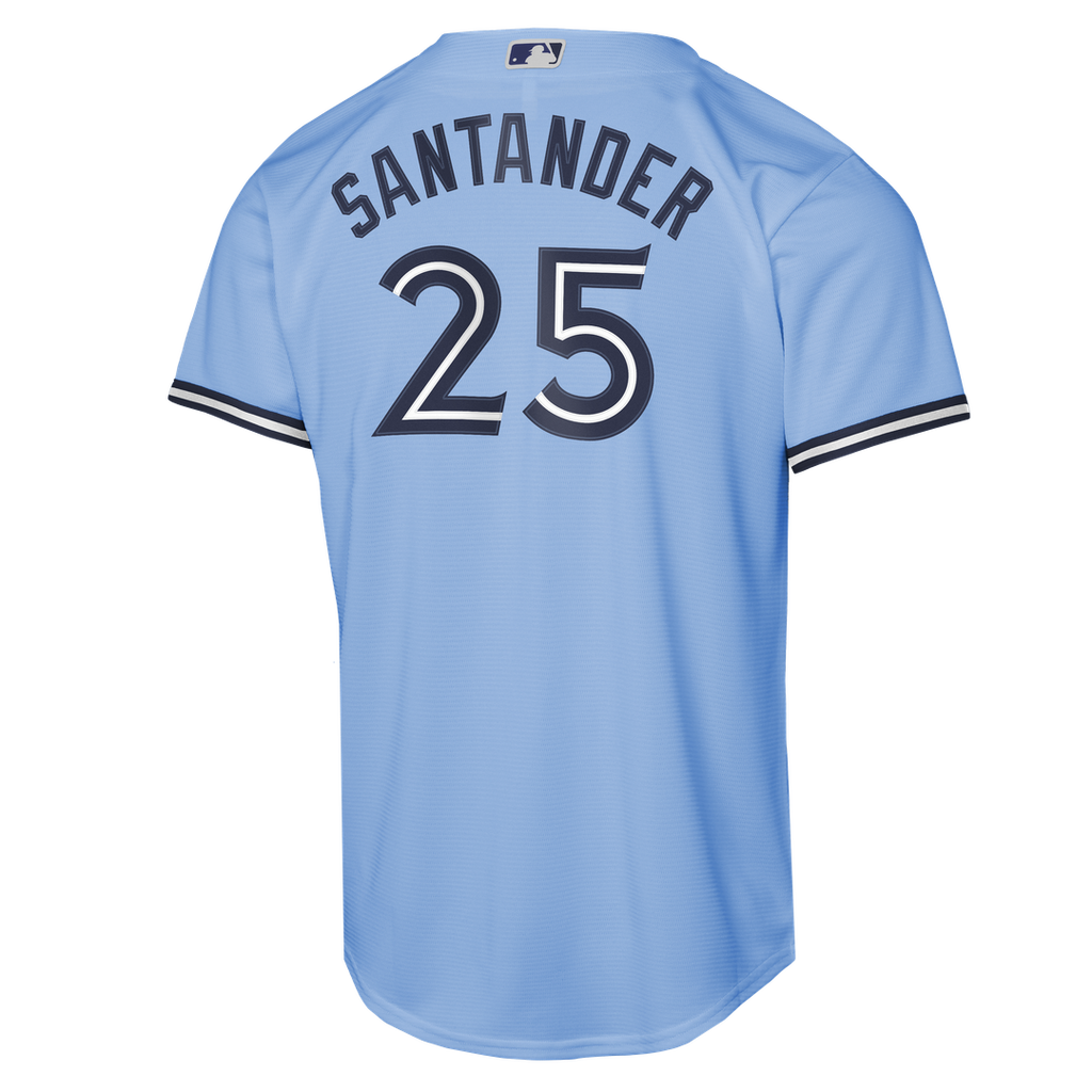 Anthony Santander Toronto Blue Jays Youth Alternate Replica Jersey - Powder Blue