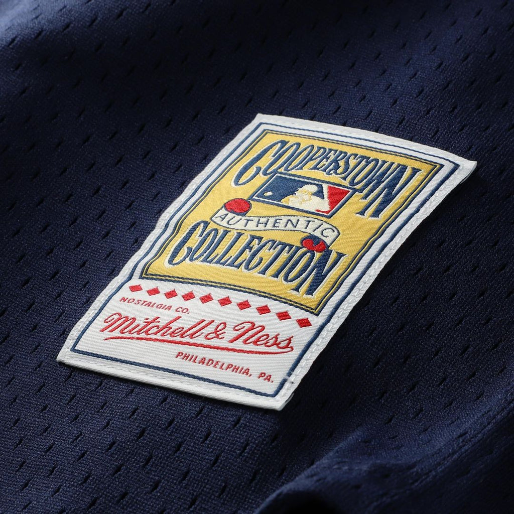 Carlton Fisk Chicago White Sox Authentic Batting Practice Jersey - White
