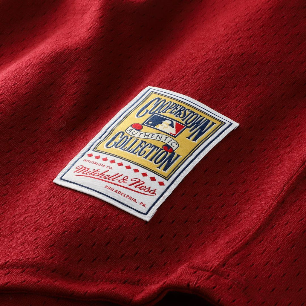 Darren Daulton Philadelphia Phillies Authentic Batting Practice Jersey - Scarlet