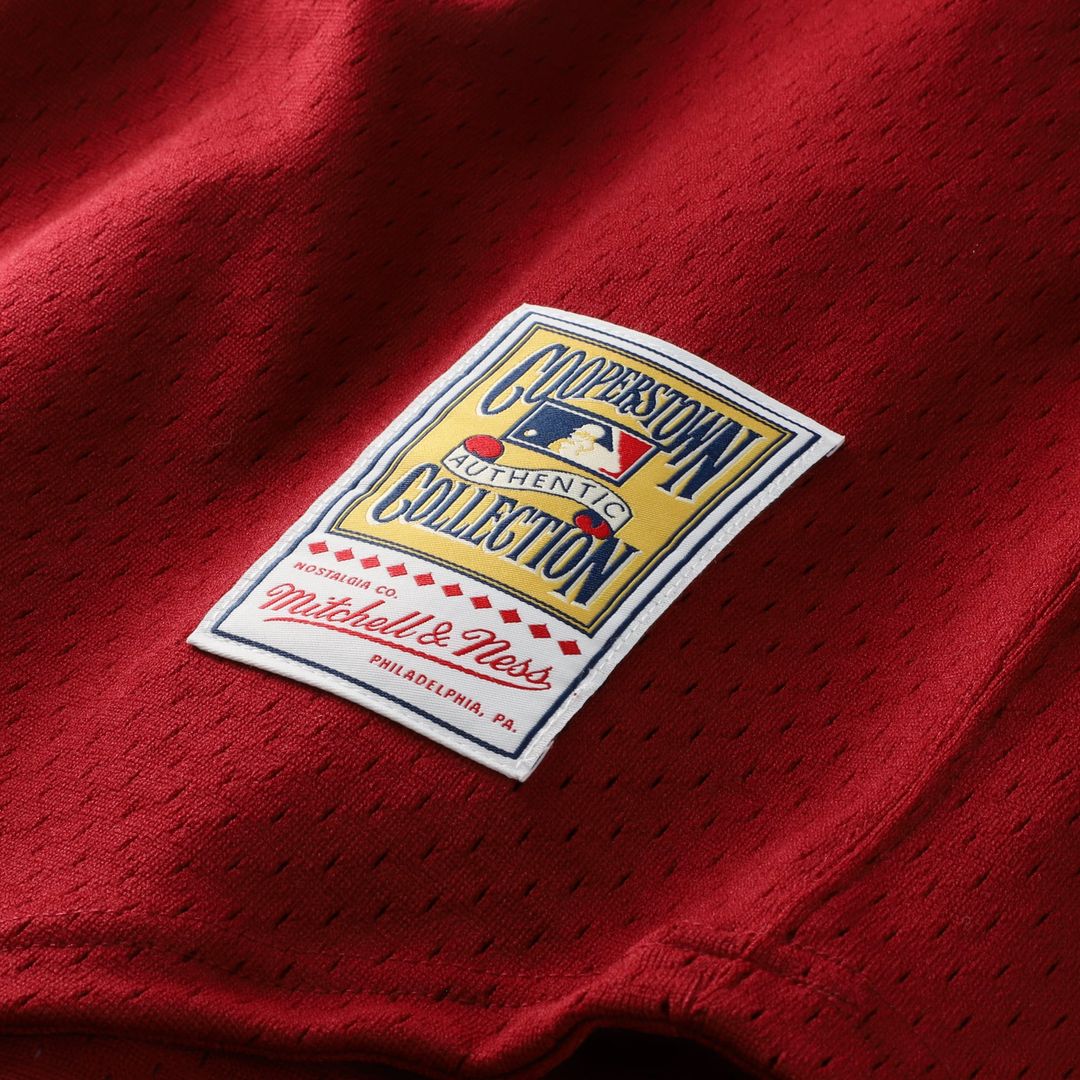 Darren Daulton Philadelphia Phillies Authentic Batting Practice Jersey - Scarlet