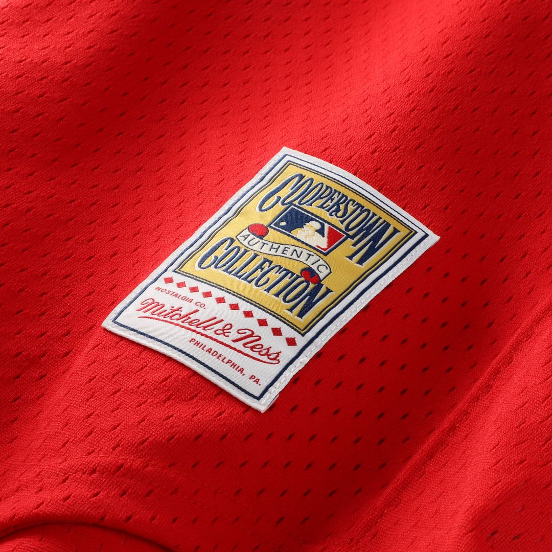 Dale Murphy Atlanta Braves Authentic Batting Practice Jersey - Scarlet